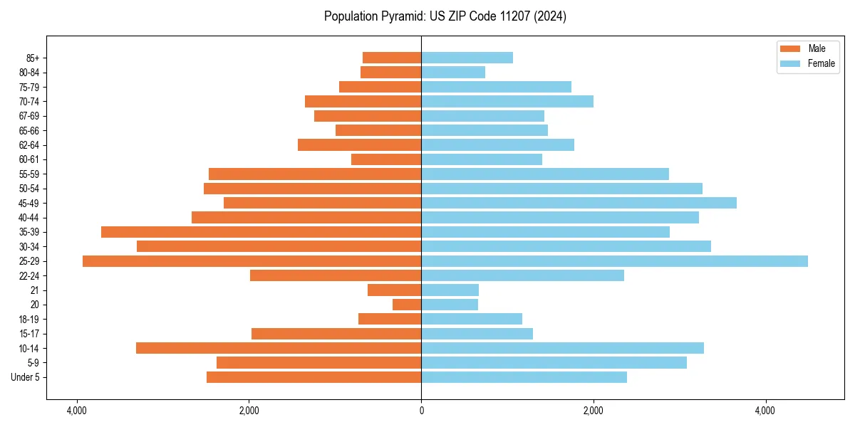 Population pyramid for 