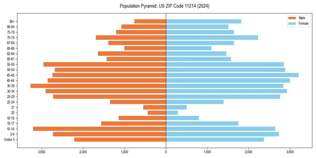 Population pyramid for 