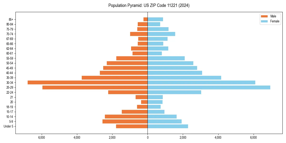 Population pyramid for 