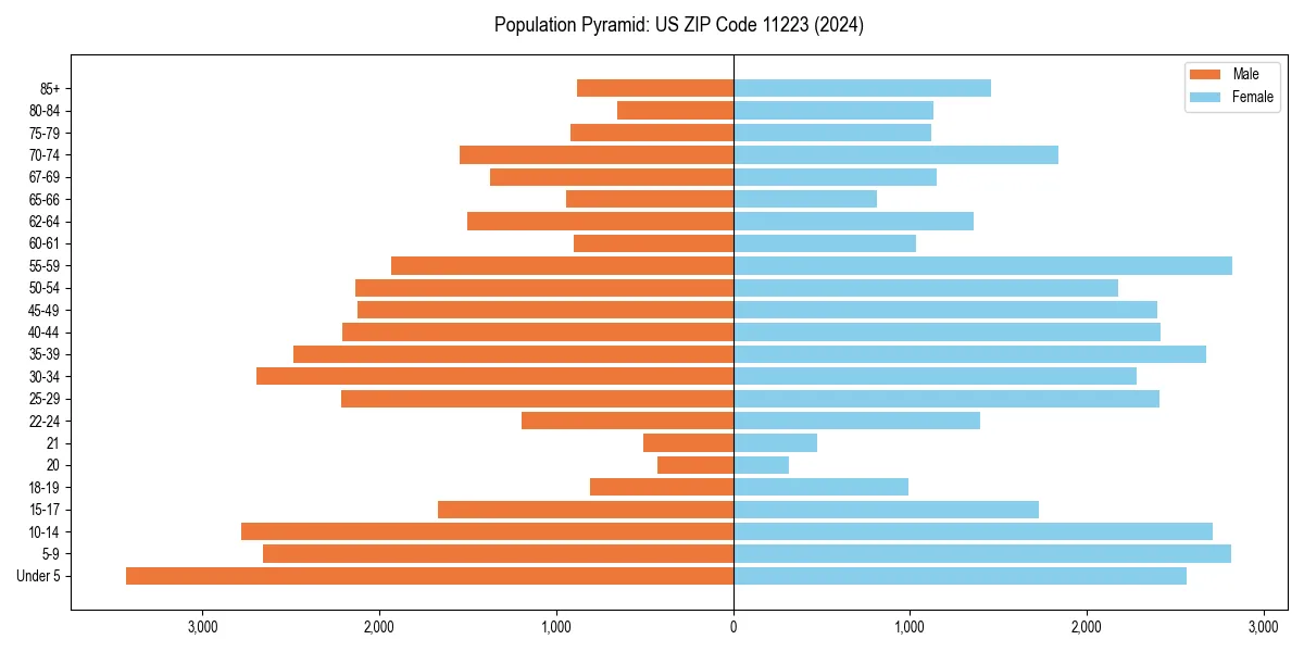 Population pyramid for 