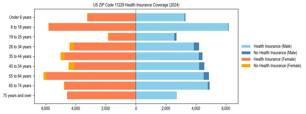 Health insurance pyramid for US ZIP Code 11229