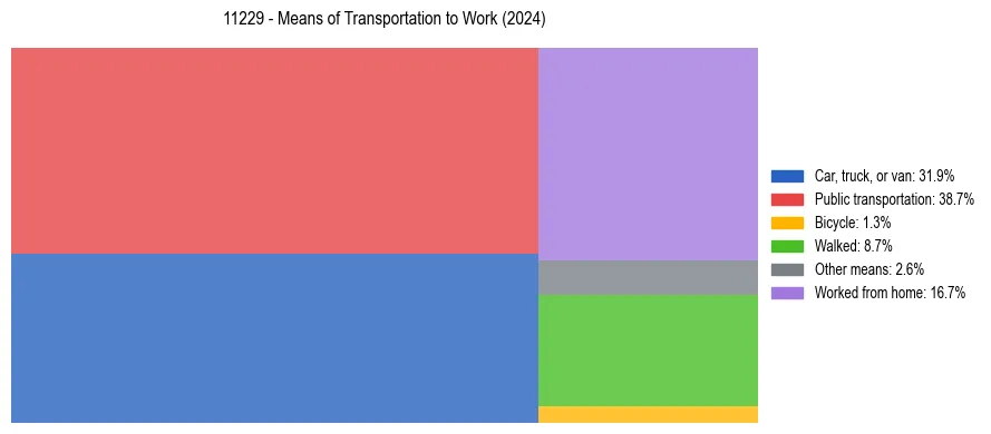 Commute modes in US ZIP Code 11229