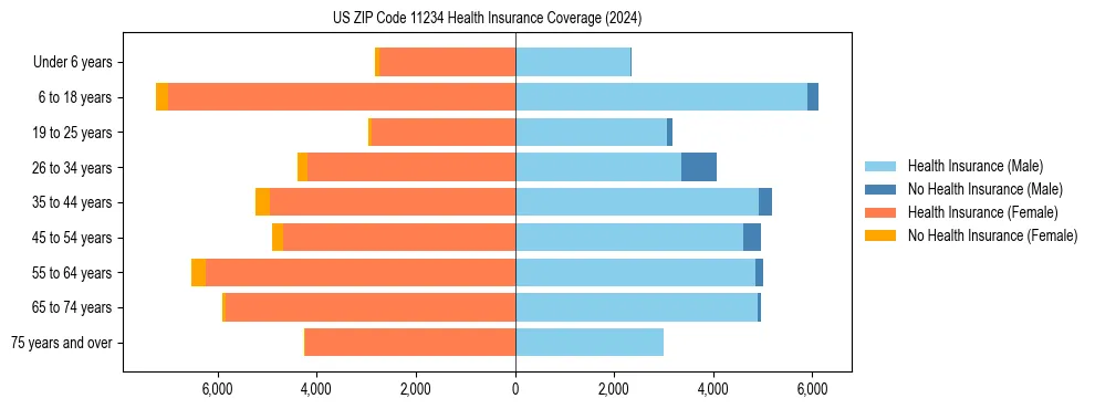 Health insurance pyramid for US ZIP Code 11234