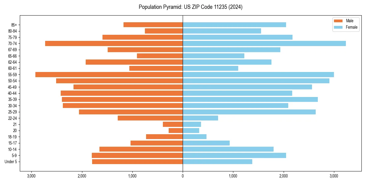 Population pyramid for 