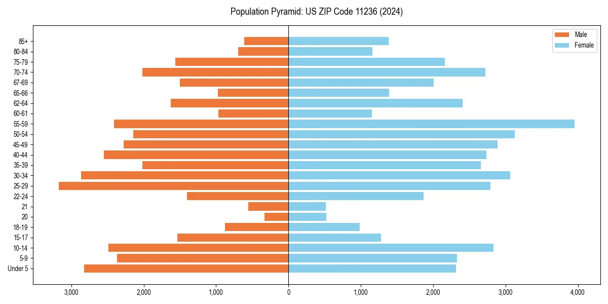 Population pyramid for 