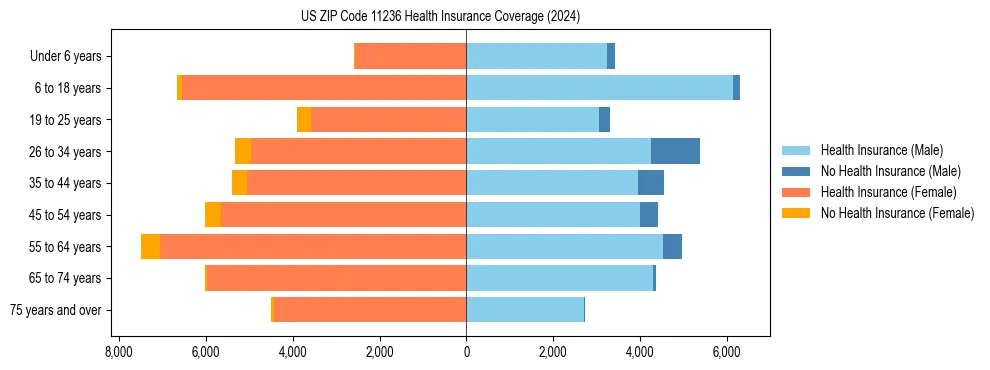 Health insurance pyramid for US ZIP Code 11236
