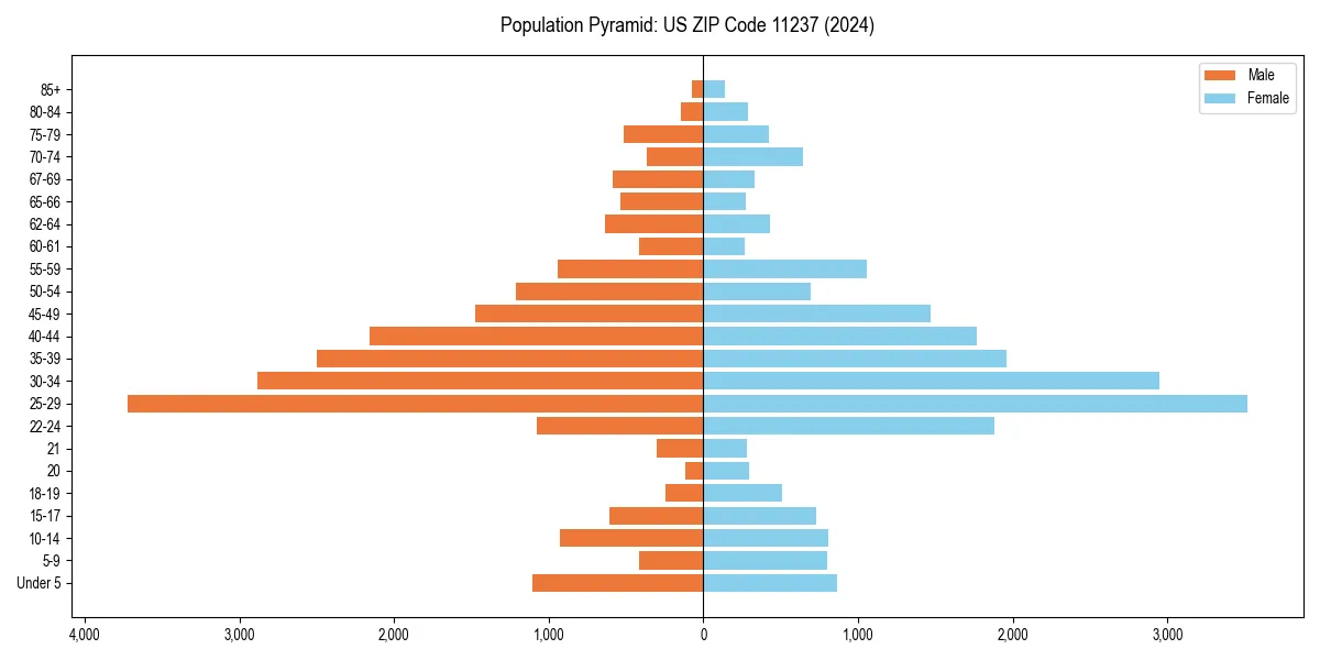 Population pyramid for 