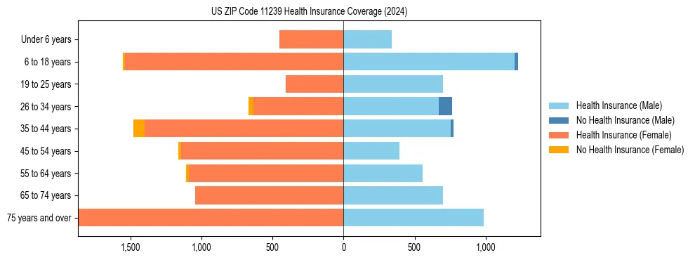 Health insurance pyramid for US ZIP Code 11239