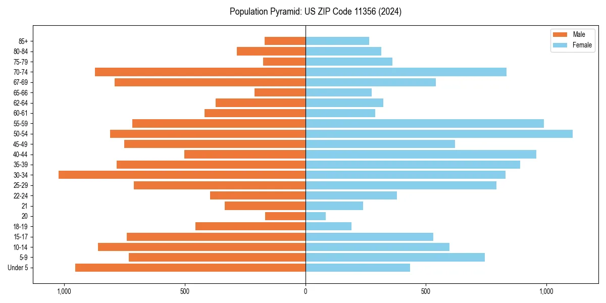 Population pyramid for 