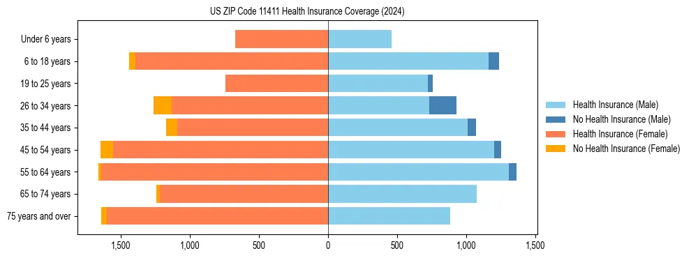 Health insurance pyramid for US ZIP Code 11411