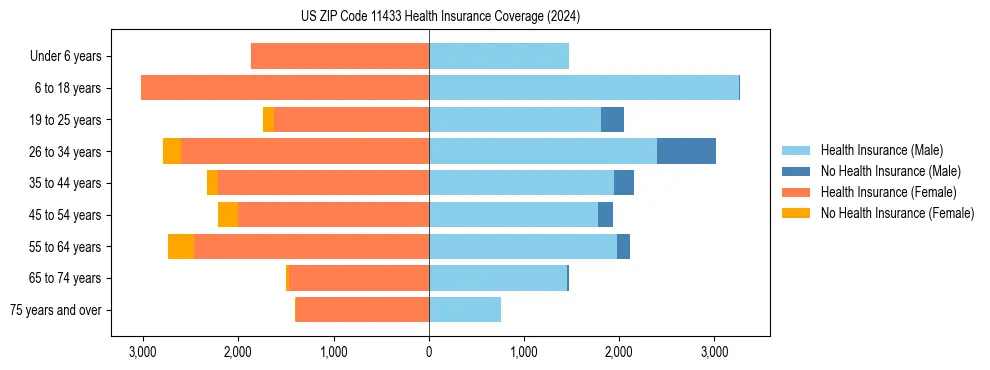 Health insurance pyramid for US ZIP Code 11433