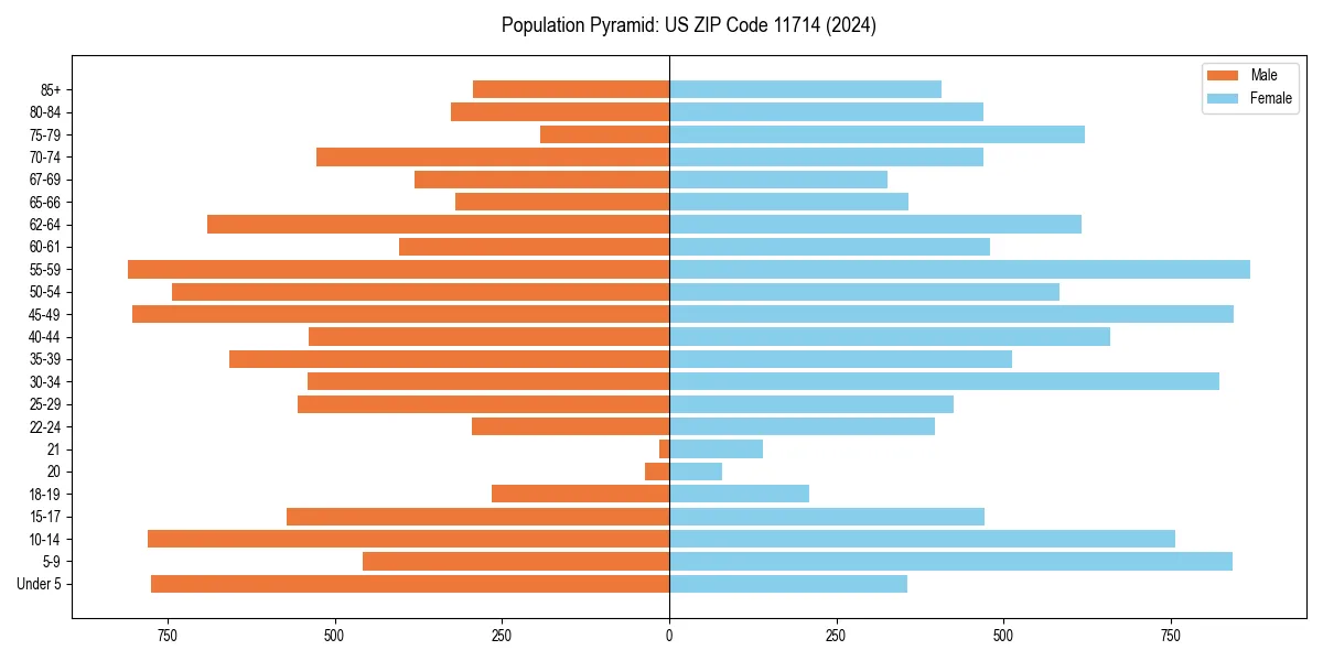 Population pyramid for 
