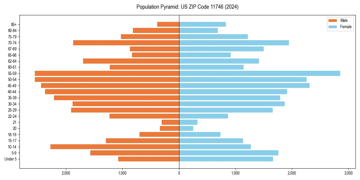 Population pyramid for 