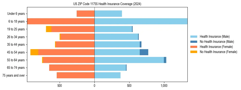 Health insurance pyramid for US ZIP Code 11755