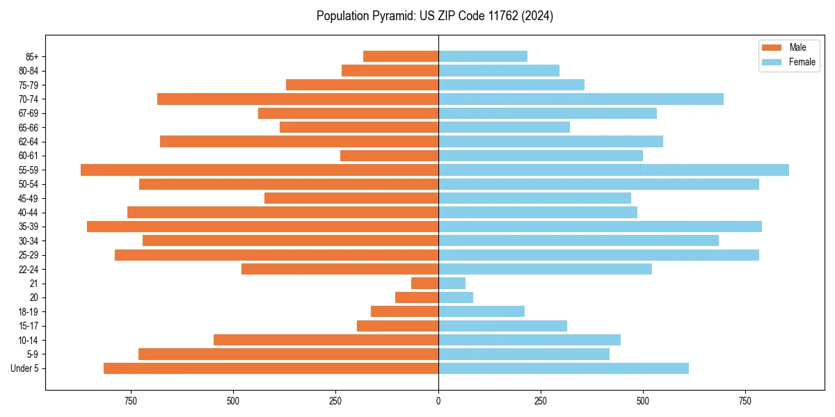 Population pyramid for 