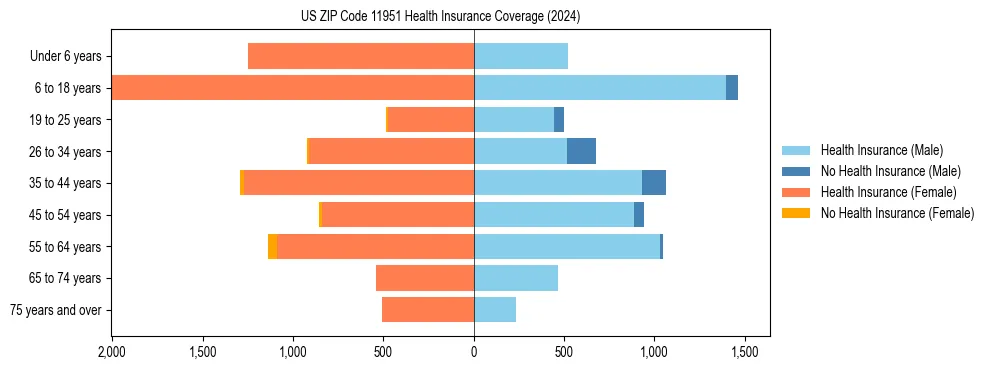 Health insurance pyramid for US ZIP Code 11951