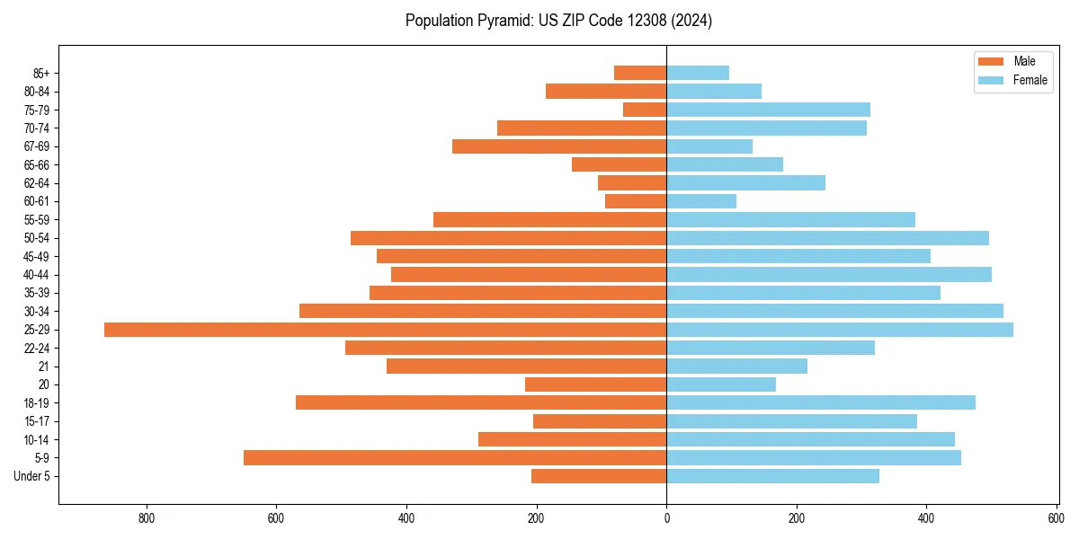 Population pyramid for 