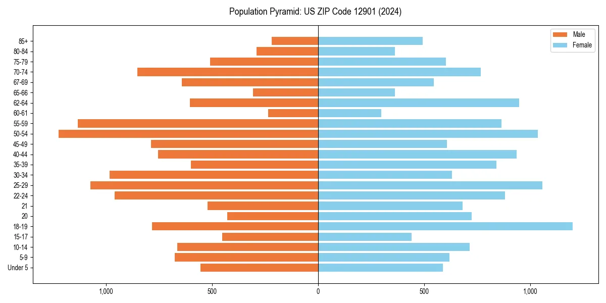 Population pyramid for 