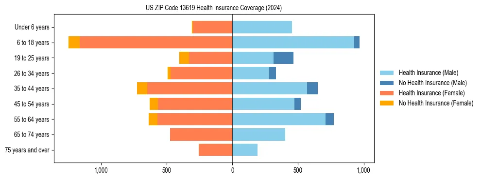 Health insurance pyramid for US ZIP Code 13619