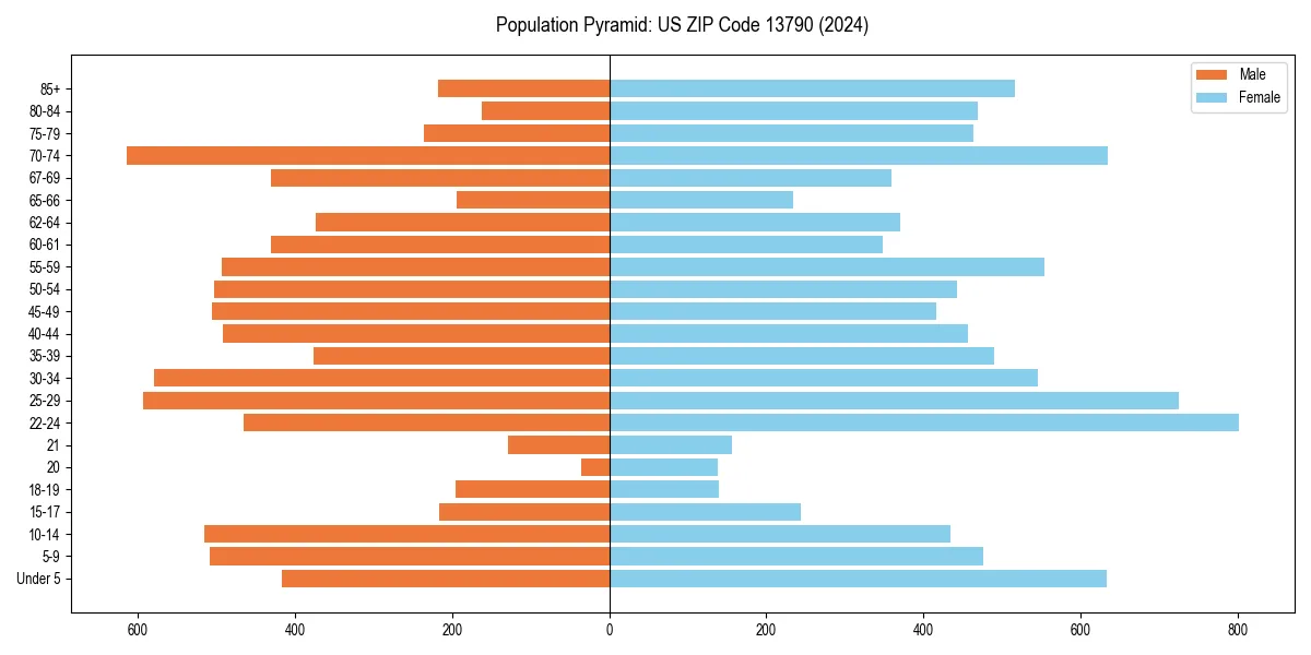 Population pyramid for 