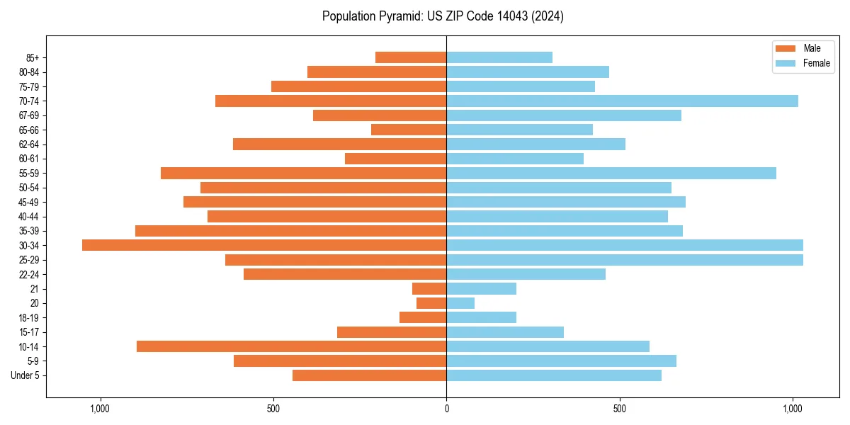 Population pyramid for 
