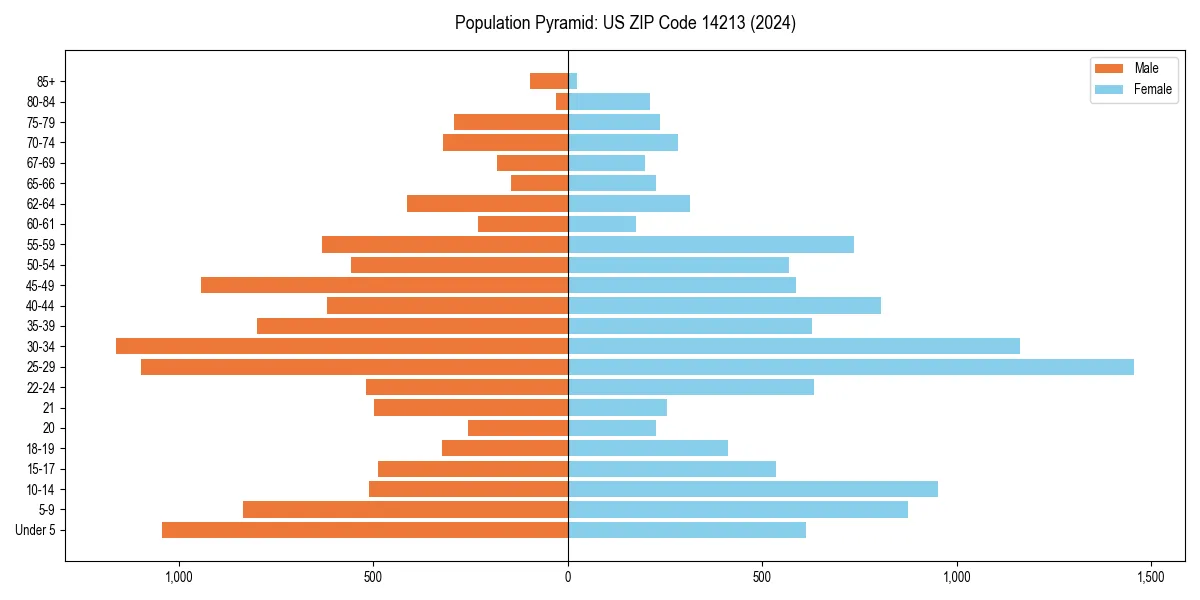 Population pyramid for 