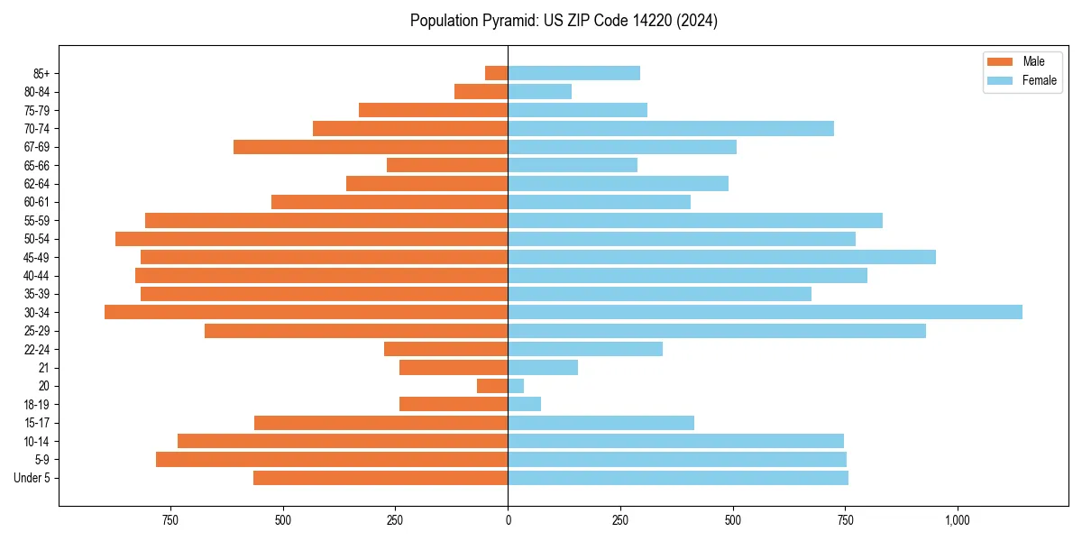Population pyramid for 