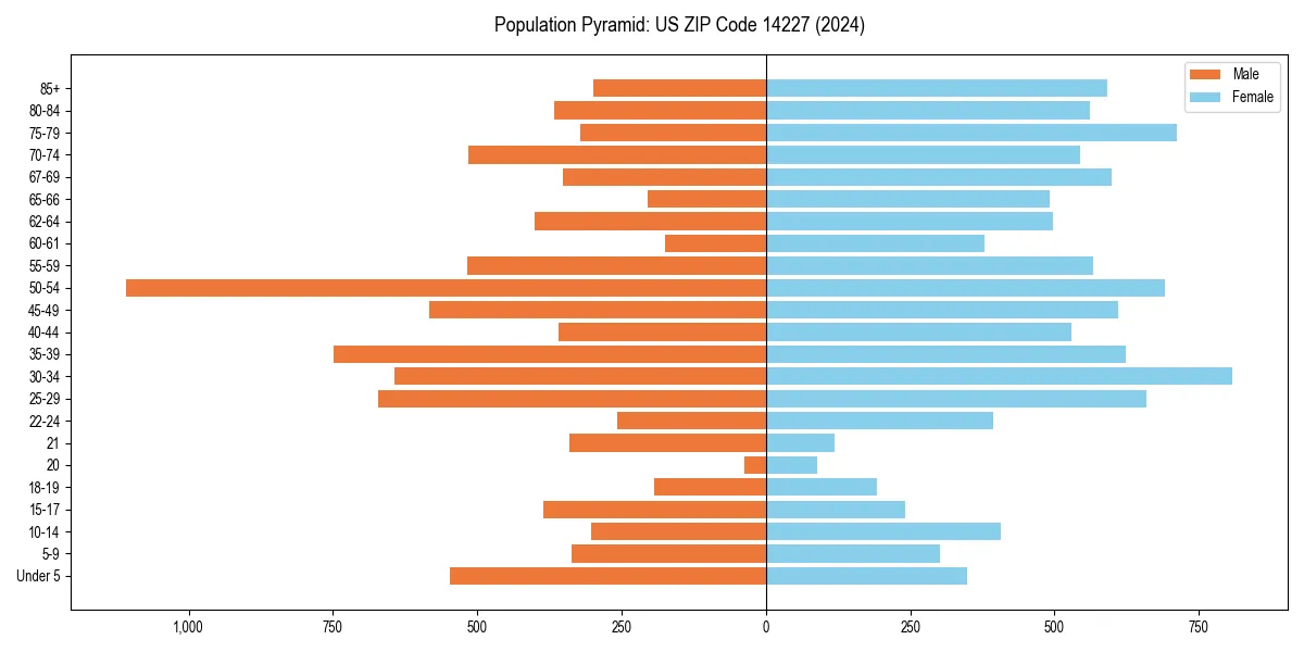 Population pyramid for 
