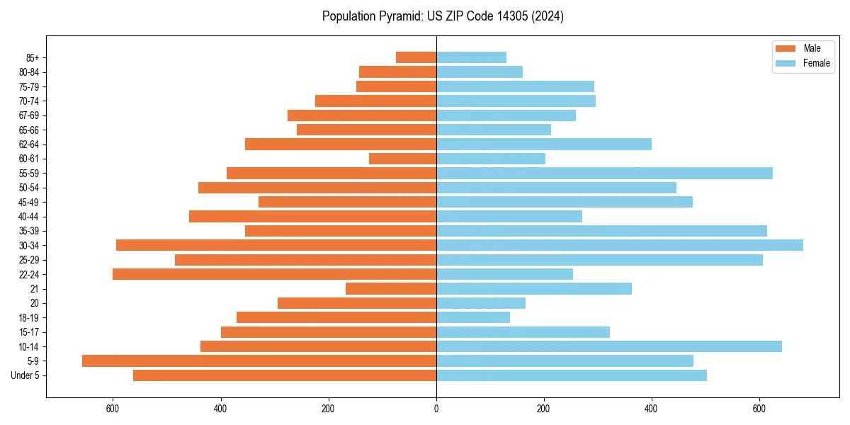 Population pyramid for 