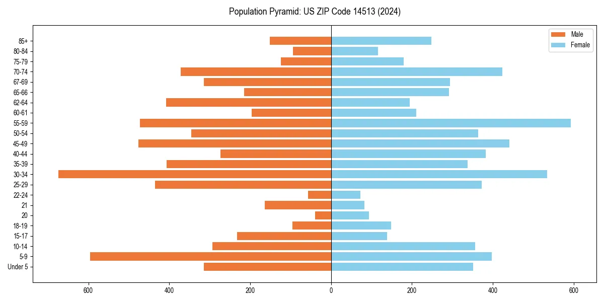 Population pyramid for 