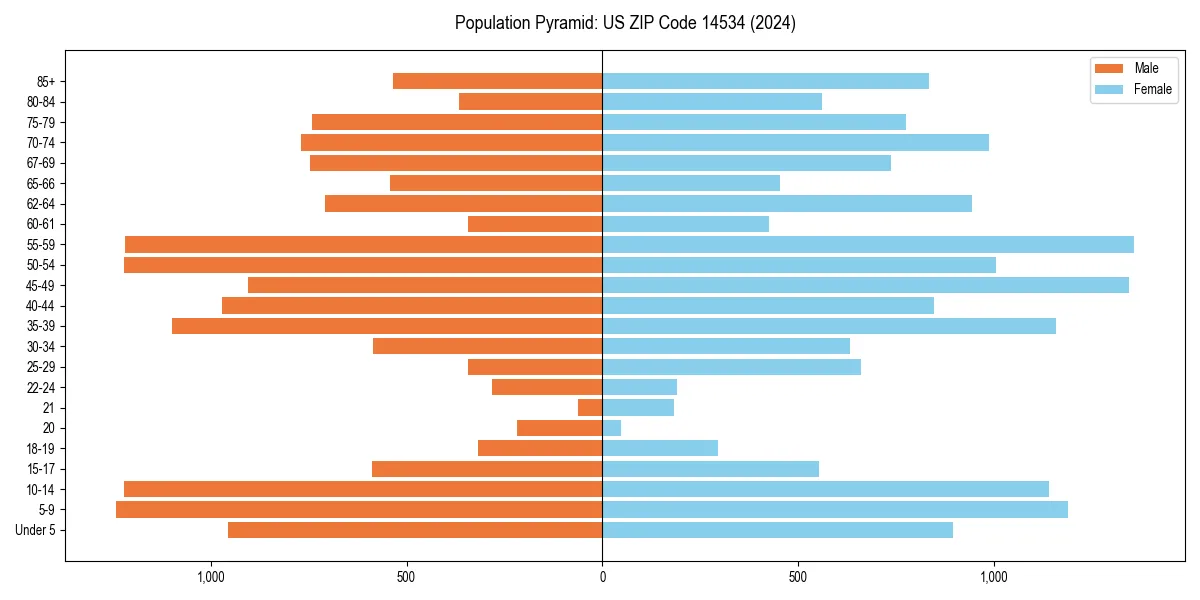 Population pyramid for