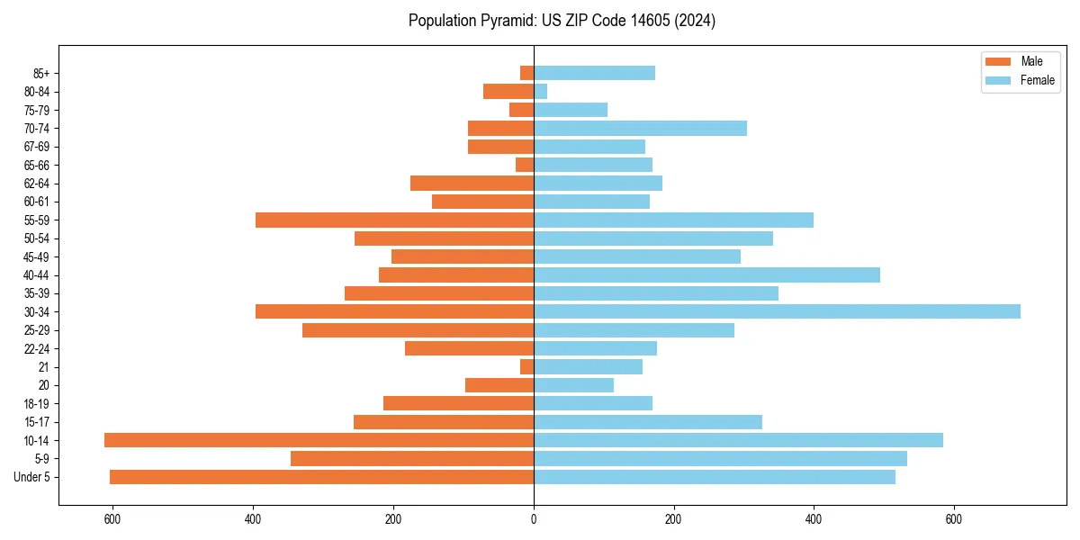 Population pyramid for 