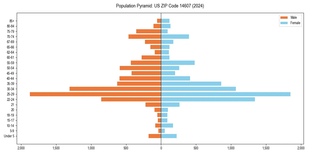 Population pyramid for 
