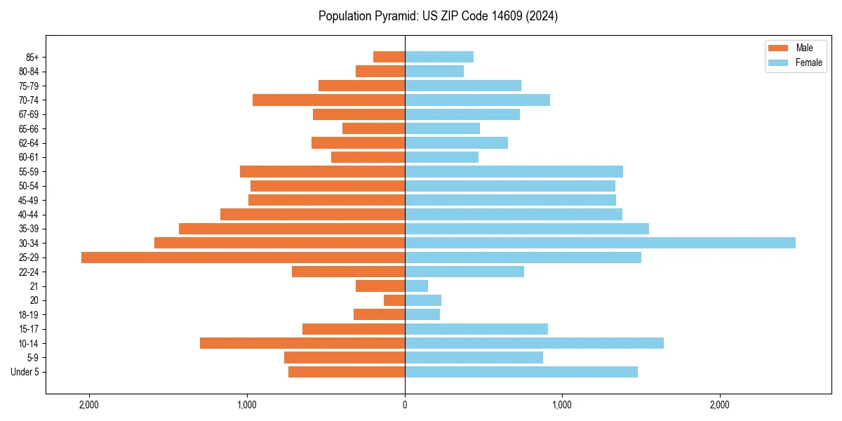 Population pyramid for