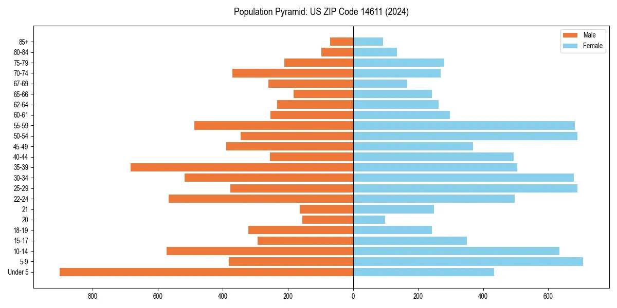 Population pyramid for 