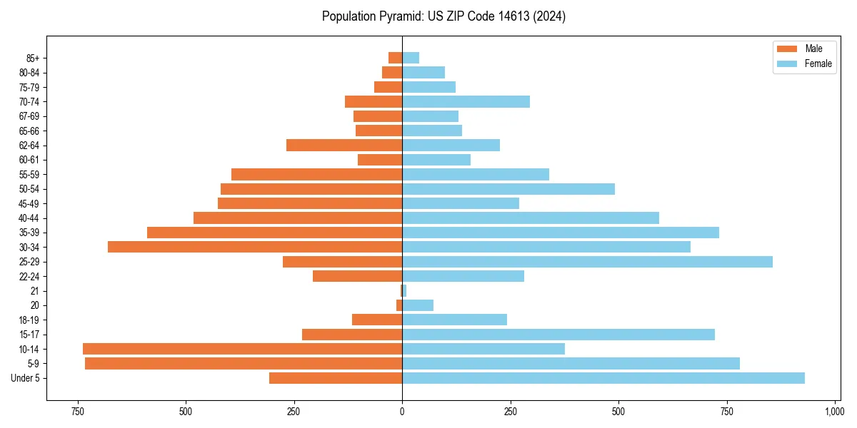 Population pyramid for 