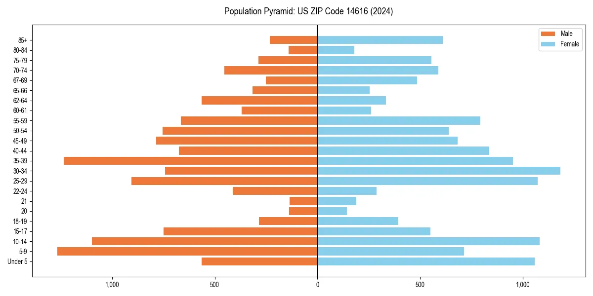 Population pyramid for 