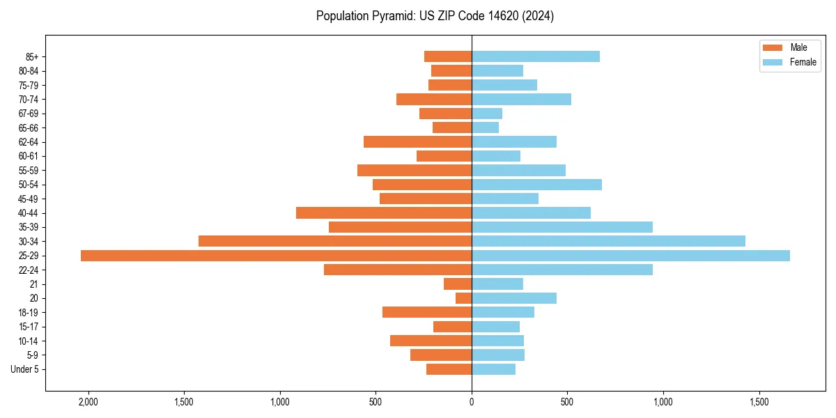 Population pyramid for 