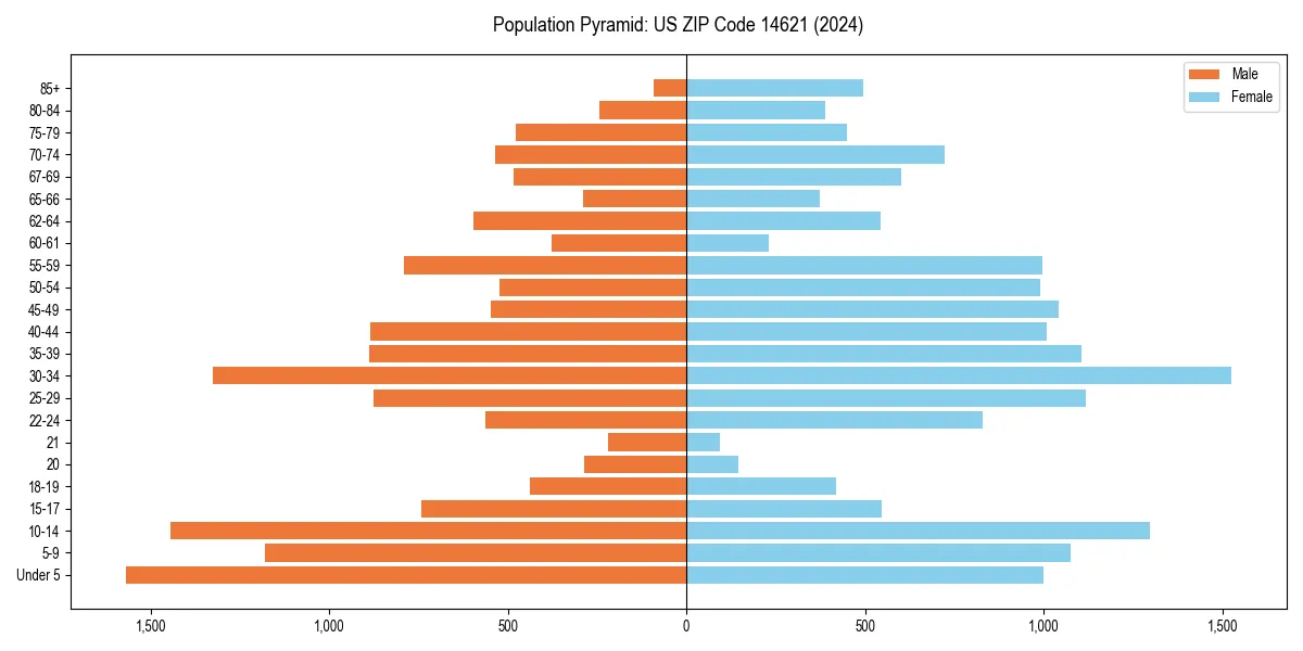 Population pyramid for 