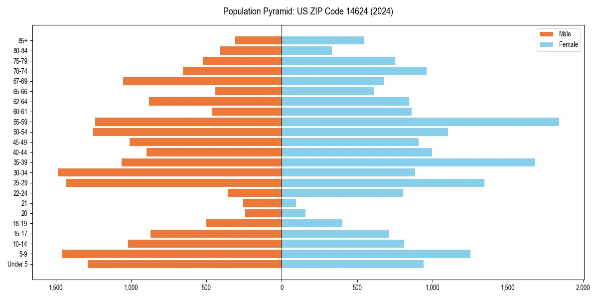 Population pyramid for 