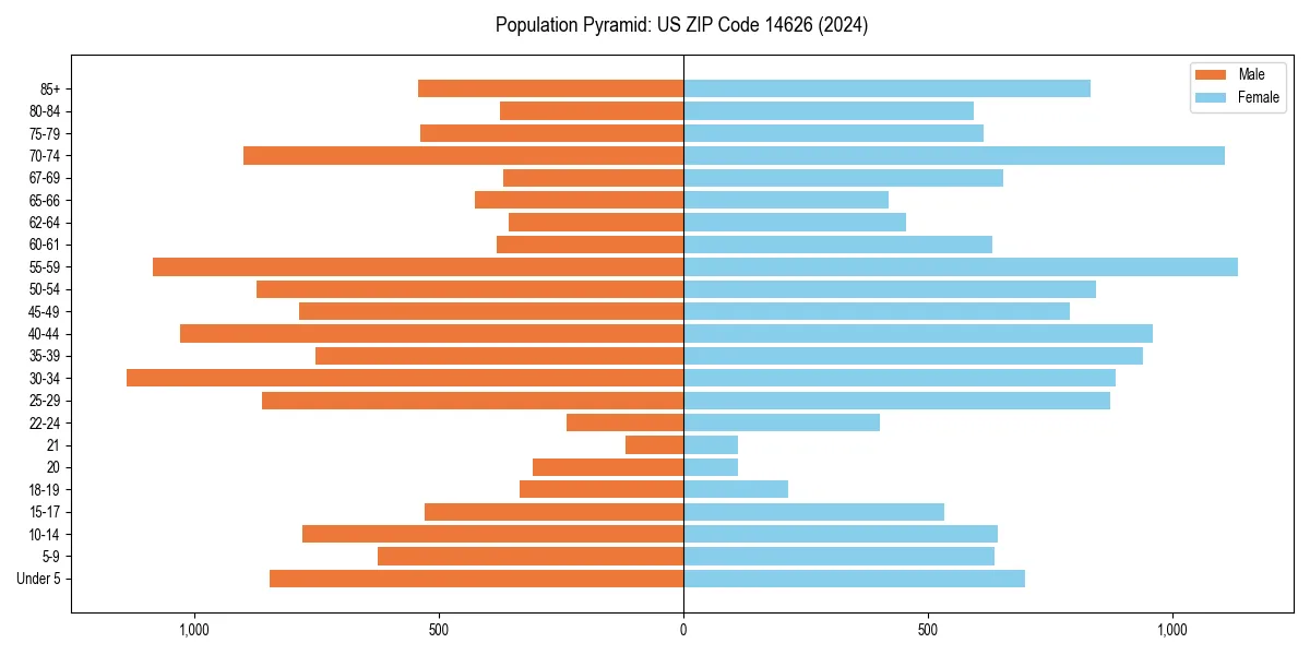 Population pyramid for 