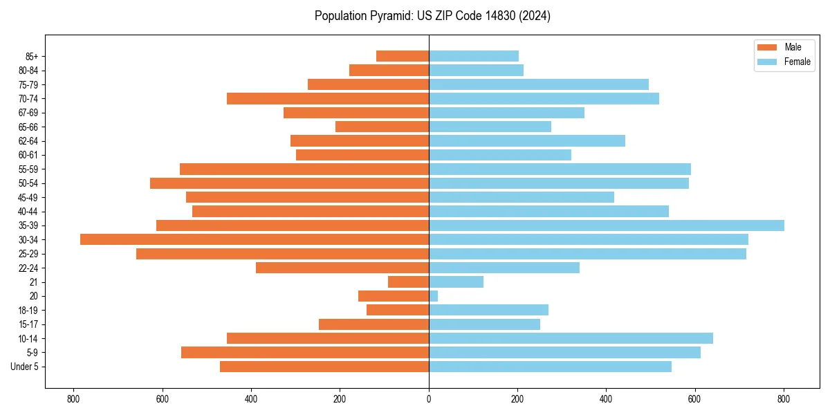 Population pyramid for 