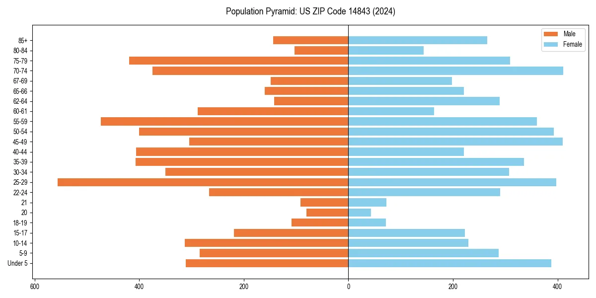 Population pyramid for 