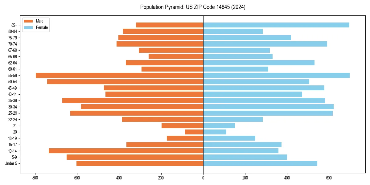 Population pyramid for 