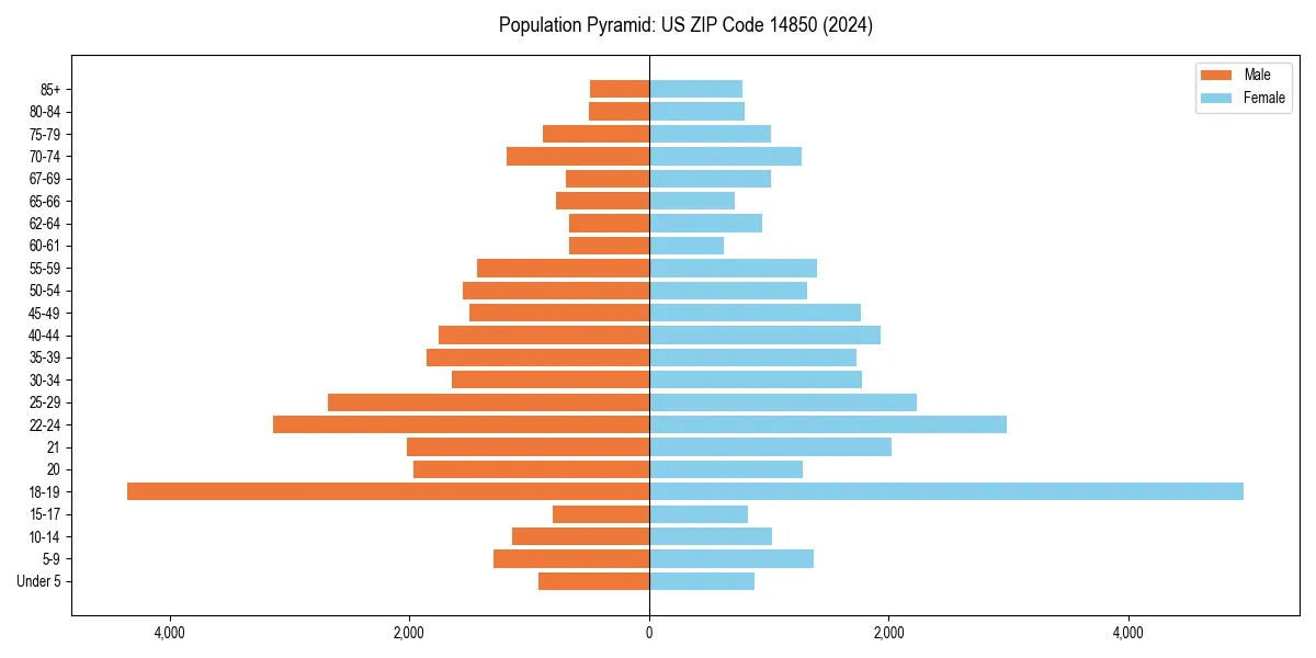 Population pyramid for 