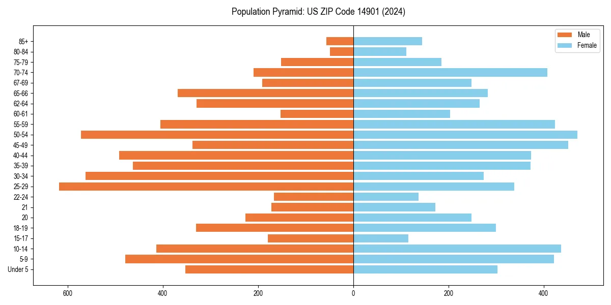 Population pyramid for 
