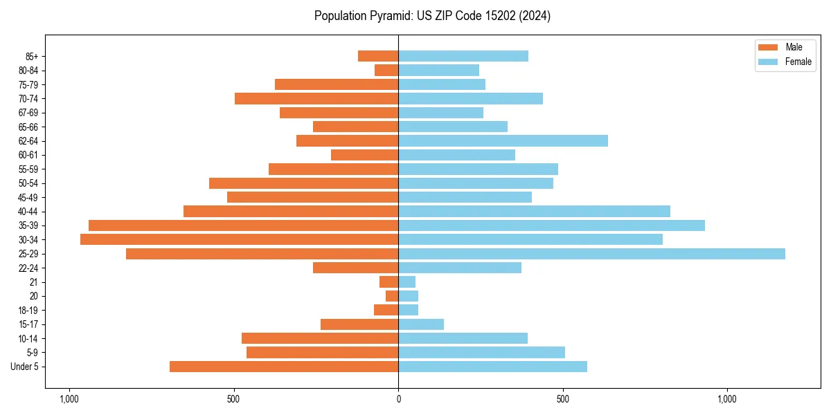 Population pyramid for 