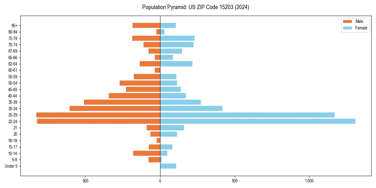 Population pyramid for 