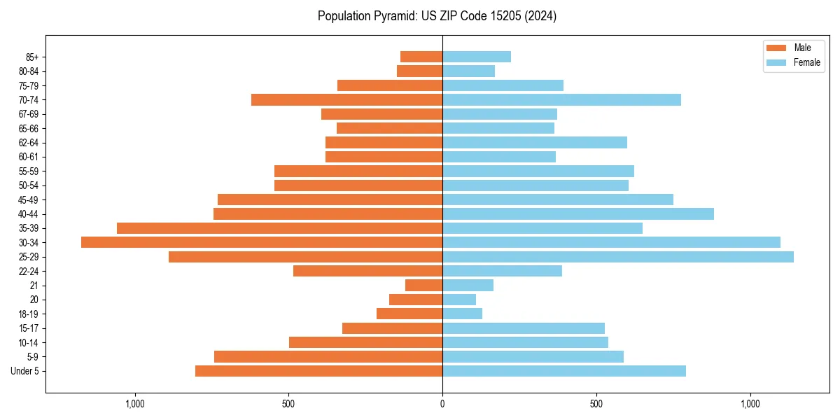 Population pyramid for 