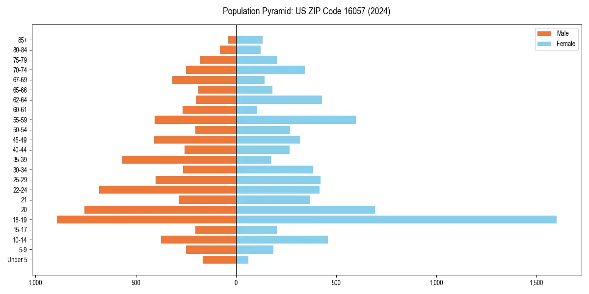 Population pyramid for 